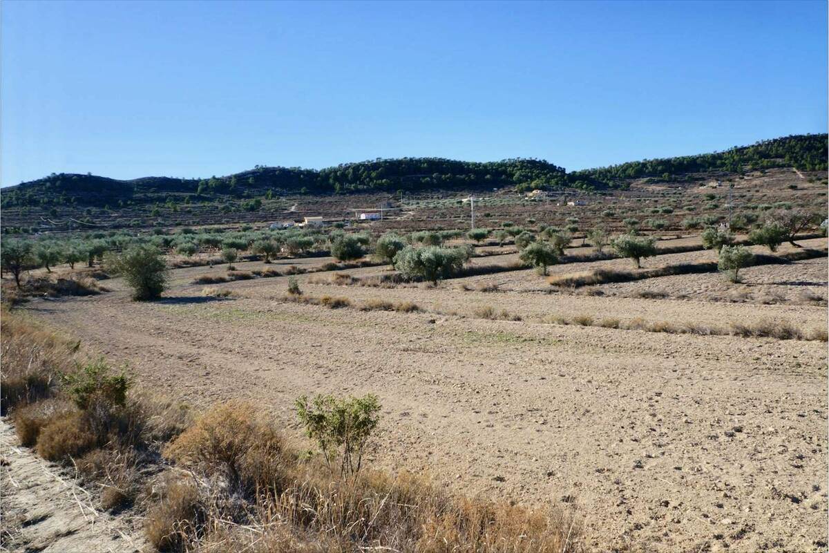 Terreno a Relleu, Alicante, Spagna N° 192525