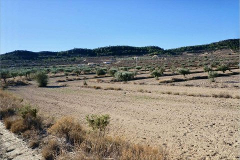 Terreno in vendita a Relleu, Alicante, Spagna N° 192525 - foto 2