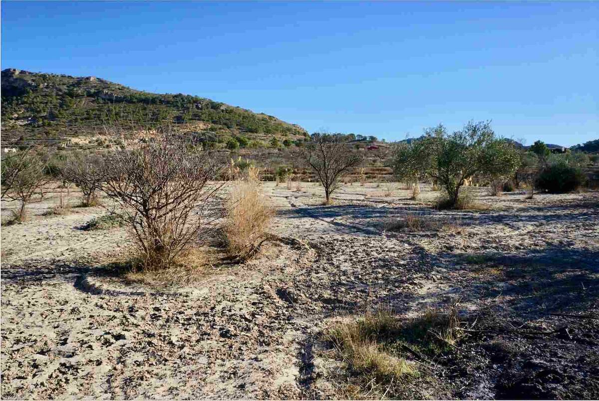 Terreno a Relleu, Alicante, Spagna N° 192525