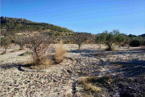 Terreno in vendita a Relleu, Alicante, Spagna N° 192525 - foto 7