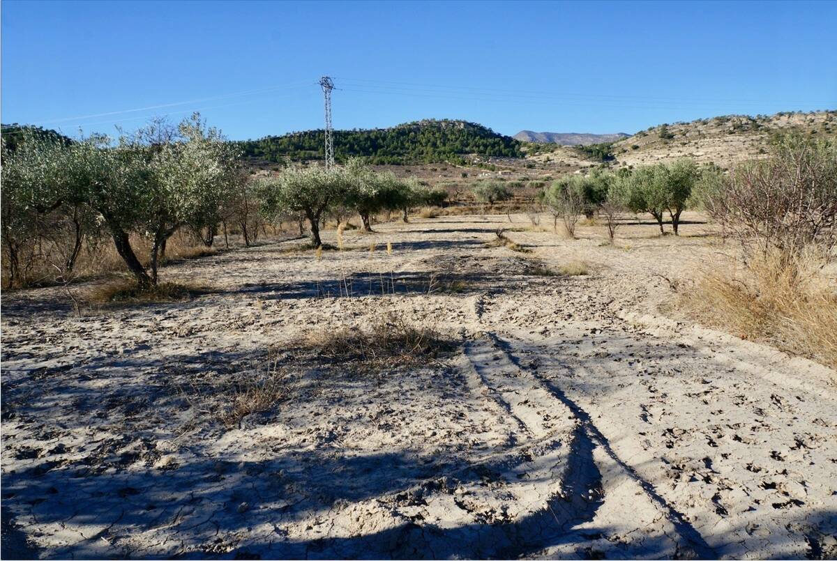 Terreno a Relleu, Alicante, Spagna N° 192525