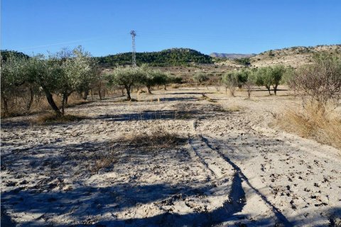 Terreno in vendita a Relleu, Alicante, Spagna N° 192525 - foto 6