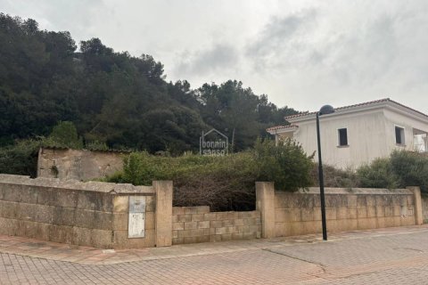 Parcela en Ferreries, Menorca, España No. 155840