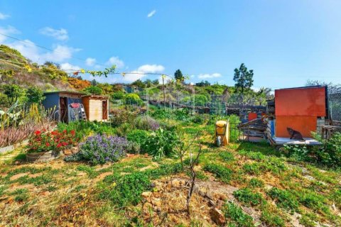 Villa à vendre à Guia de Isora, Tenerife, EspagneNo. 155841 - photo 7