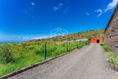 Villa à vendre à Guia de Isora, Tenerife, EspagneNo. 155841 - photo 3