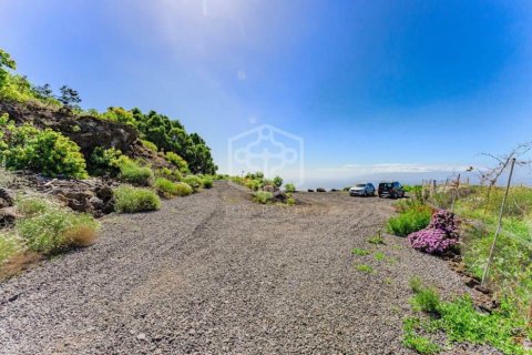 Villa à vendre à Guia de Isora, Tenerife, EspagneNo. 155841 - photo 4