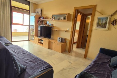 Dzīvoklis pārdošanā Benidorm, Alicante, Spānijā 1 istaba, 68 m2 Nr. 109418 - attēls 8