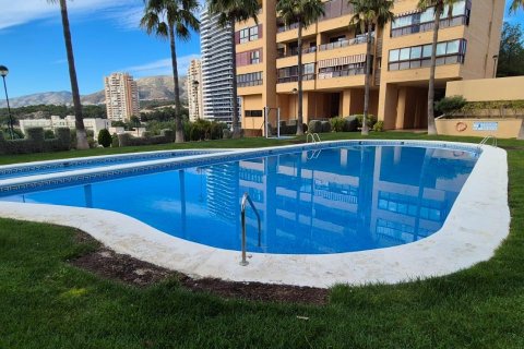 Dzīvoklis pārdošanā Benidorm, Alicante, Spānijā 1 istaba, 68 m2 Nr. 109418 - attēls 17