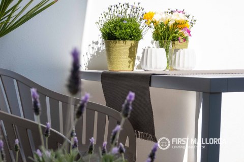 Kamienica w Palma de Majorca, Mallorca, Hiszpania 4 sypialnie, 338 mkw. nr 163003 – zdjęcie 13