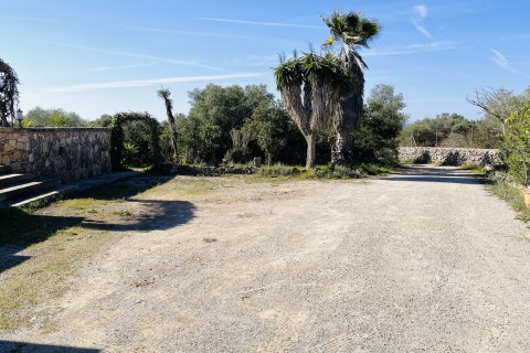 Finka w Campos, Mallorca, Hiszpania 4 sypialnie, 300 mkw. nr 163001 – zdjęcie 21