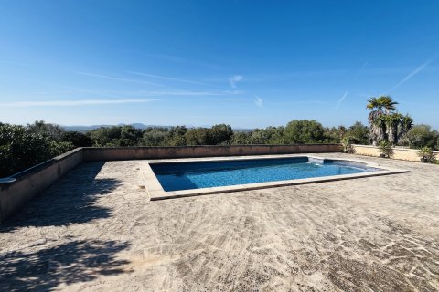 Finka w Campos, Mallorca, Hiszpania 4 sypialnie, 300 mkw. nr 163001 – zdjęcie 6