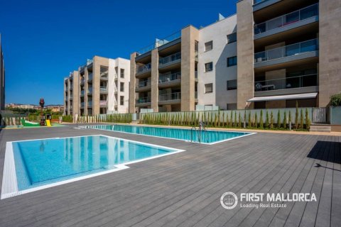 Apartament w Palma de Majorca, Mallorca, Hiszpania 4 sypialnie, 150 mkw. nr 163004