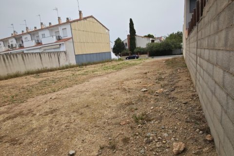 Terreno a Amposta, Tarragona, Spagna 155 mq. N° 184965