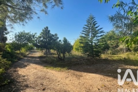 House zum Verkauf in Pego, Alicante, Spanien 3 Schlafzimmer, 86 m2 Nr. 184969 - Foto 16