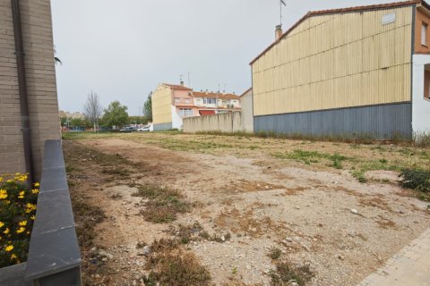 Terreno a Amposta, Tarragona, Spagna 155 mq. N° 184966