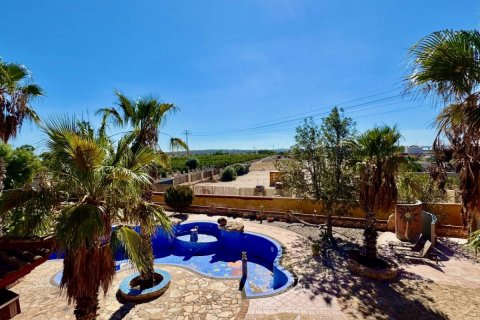 Finca à vendre Los Montesinos, Alicante, Espagne, 4 chambres, 450 m2 No. 113004 - photo 25