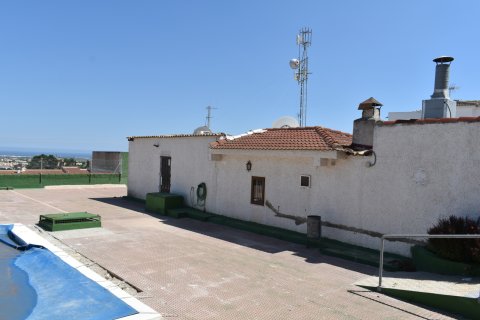 Kommersiell fastighet till salu i Ciudad Quesada, Alicante, Spanien 240 kvm. Nr. 147389 - foto 18