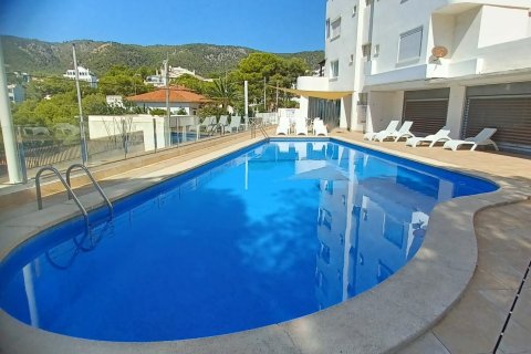 Appartamento in affitto a Palma de Majorca, Mallorca, Spagna 1 camera da letto, 30 mq. N° 147387 - foto 7