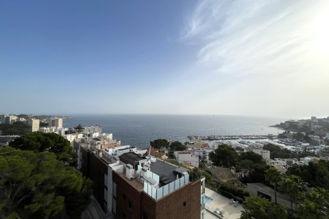 Appartamento in affitto a Palma de Majorca, Mallorca, Spagna 1 camera da letto, 30 mq. N° 147387 - foto 2