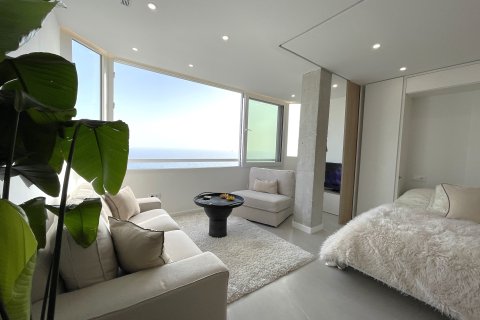 Appartamento a Palma de Majorca, Mallorca, Spagna 1 camera da letto, 30 mq. N° 147387