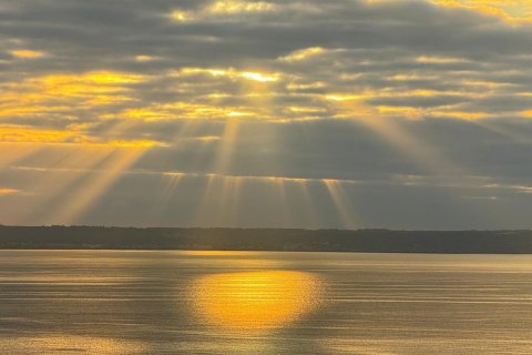 Appartamento in affitto a Palma de Majorca, Mallorca, Spagna 1 camera da letto, 30 mq. N° 147387 - foto 8