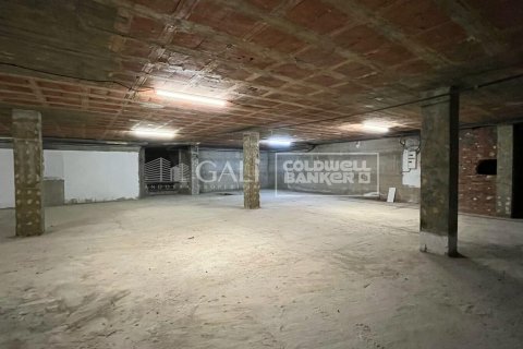 Commercial property à Principado De Andorra (Ninguna Poblacion Tiene C.P.), Lleida, Espagne 355 m2 No. 160496