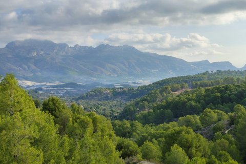 Квартира в Ла Нусия, Аликанте, Испания 290м2 №168727