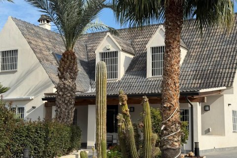 Villa zum Verkauf San Juan, Alicante, Spanien 5 Schlafzimmer, 360 m2 Nr. 109339 - Foto 19