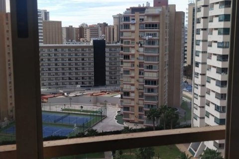 Apartment à vendre Benidorm, Alicante, Espagne, 1 chambre, 54 m2 No. 109345 - photo 4