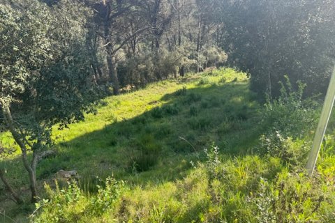 Terreno in vendita a Tordera, Barcelona, Spagna N° 191403 - foto 5