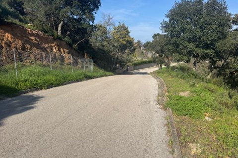 Terreno in vendita a Tordera, Barcelona, Spagna N° 191403 - foto 3