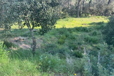Terreno in vendita a Tordera, Barcelona, Spagna N° 191403 - foto 9