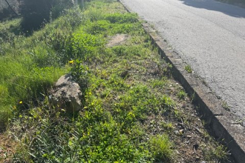 Terreno in vendita a Tordera, Barcelona, Spagna N° 191403 - foto 14