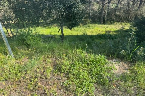 Terreno in vendita a Tordera, Barcelona, Spagna N° 191403 - foto 8