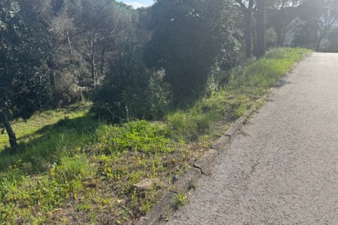 Terreno in vendita a Tordera, Barcelona, Spagna N° 191403 - foto 6