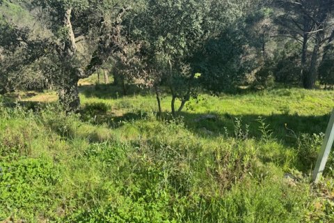 Terreno in vendita a Tordera, Barcelona, Spagna N° 191403 - foto 4