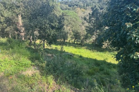Terreno in vendita a Tordera, Barcelona, Spagna N° 191403 - foto 2