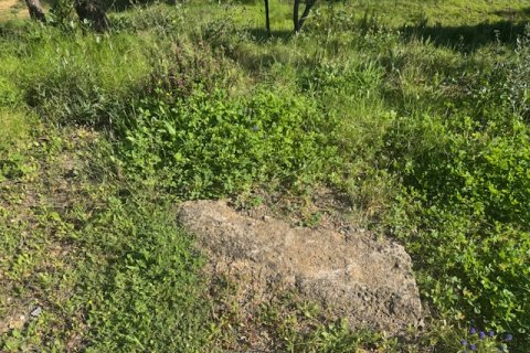 Terreno in vendita a Tordera, Barcelona, Spagna N° 191403 - foto 11