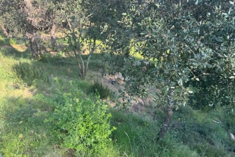 Terreno in vendita a Tordera, Barcelona, Spagna N° 191403 - foto 10