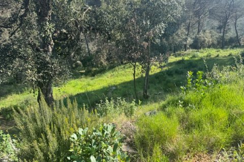 Terreno in vendita a Tordera, Barcelona, Spagna N° 191403 - foto 13