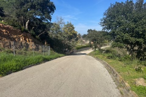 Terreno in vendita a Tordera, Barcelona, Spagna N° 191403 - foto 7
