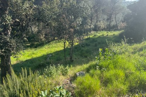 Terreno in vendita a Tordera, Barcelona, Spagna N° 191403 - foto 15