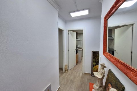 Apartament w Torrevieja, Alicante, Hiszpania 1 sypialnia, 117 mkw. nr 151045 – zdjęcie 6