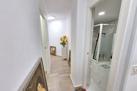 Apartament w Torrevieja, Alicante, Hiszpania 1 sypialnia, 117 mkw. nr 151045 – zdjęcie 19