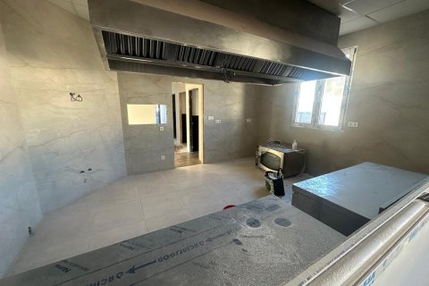 Продажа коммерческой недвижимости в Ла Зения, Аликанте, Испания 400м2 №151046 - фото 16