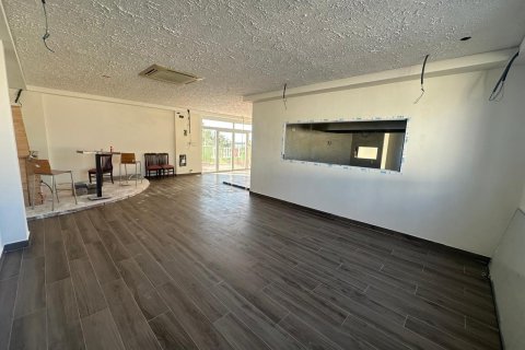 Коммерческая недвижимость в Ла Зения, Аликанте, Испания 400м2 №151046