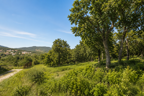 Terreno in vendita a Lloret de Mar, Girona, Spagna N° 183143 - foto 3
