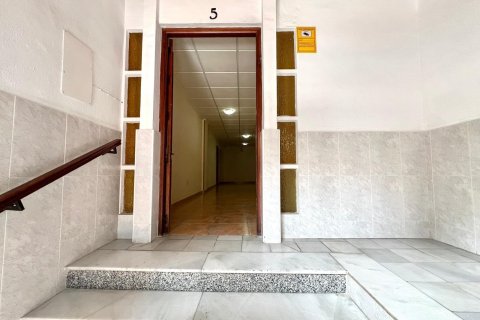 Apartment à vendre à Torrevieja, Alicante, Espagne, 3 chambres, 91 m2 No. 147131 - photo 5