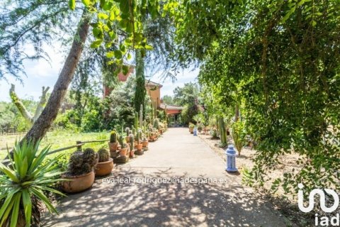 Talo myytävänä Lepe, Huelva, Espanja, 8 makuuhuonetta, 45610 m2 No. 153748 - kuva 15