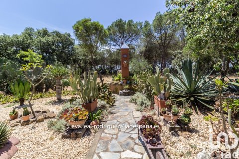 Talo myytävänä Lepe, Huelva, Espanja, 8 makuuhuonetta, 45610 m2 No. 153748 - kuva 25